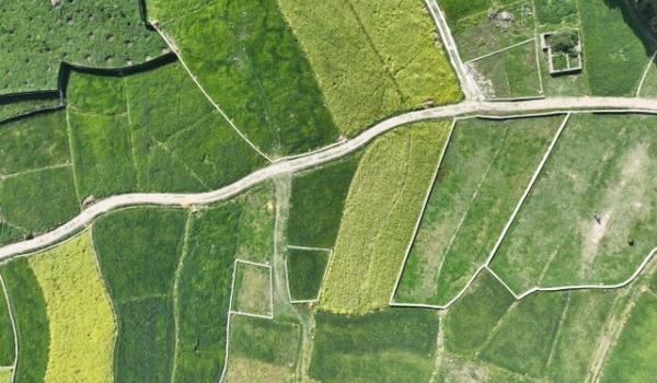 Aerial view of farmland