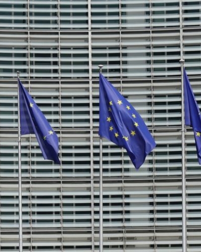 EU flags